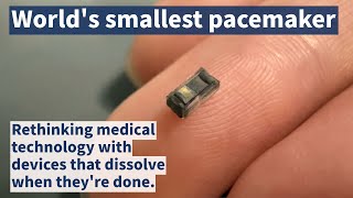 The world’s smallest pacemaker that dissolves in the body