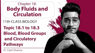 Topic 18.1 to 18.3: Blood, Blood Groups & Circulatory Pathways | Body Fluids & Circulation | Physio