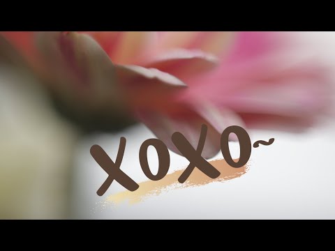 xoxo -DAYON ft. MIA PFIRRMAN