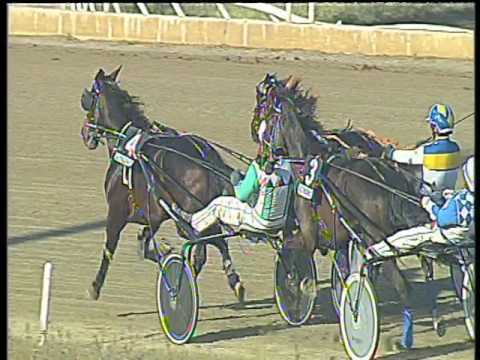 Trotto 31/03/2017 - 5ª corsa