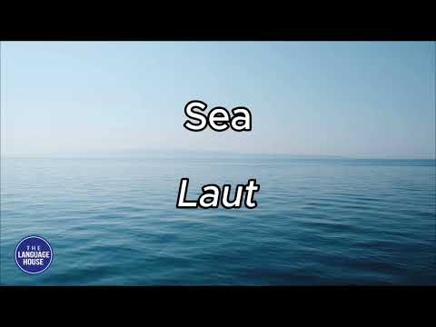Learn Malay vocabulary while sleeping - Nature words - Learn Malay with TLH