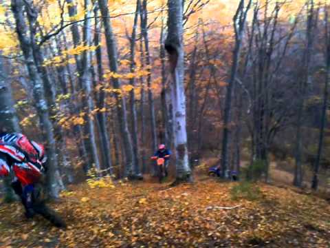 iesire de duminica ....nebunii ...