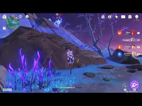 Genshin impact, How to kill Specter.