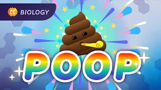 How Animals Turn Resources Into Waste: The Poop Episode: Crash Course Biology #43