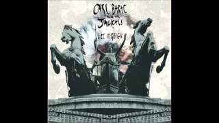 Carl Barat And The Jackals - Victory Gin