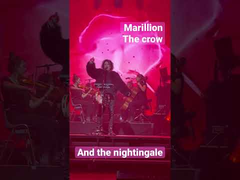 Marillion // The Crow and Nightingale // 🔥🇳🇱