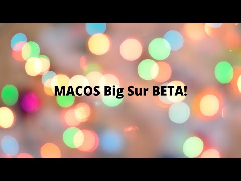 MacOS Big Sur Beta Review!
