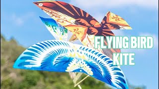 Flying Bird Rubber Band Kite