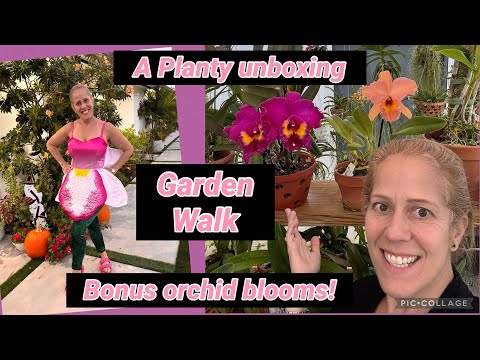 A Planty Unboxing / orchid garden walk around/ a little haul too! 