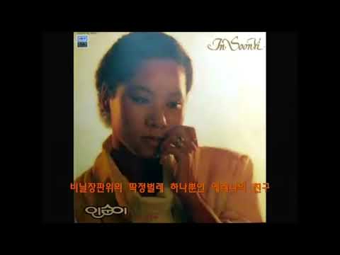 비닐장판의 딱정벌레 Beetle on vinyl By Insooni (English Translation + romanized)
