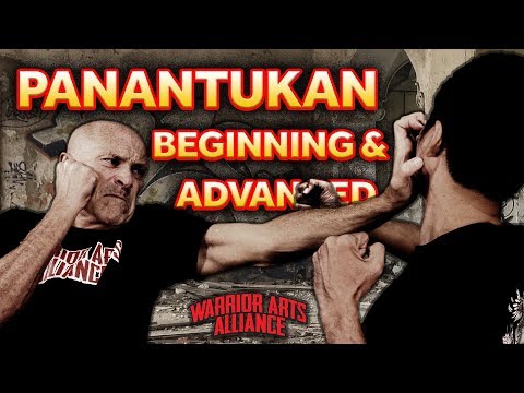 Panantukan Beginning to Advanced