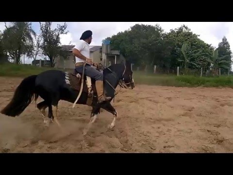 Capanegra Repasto sbb 340 148 filho Hornado da Reconquista video 2