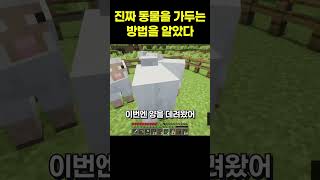 유튜브 썸네일