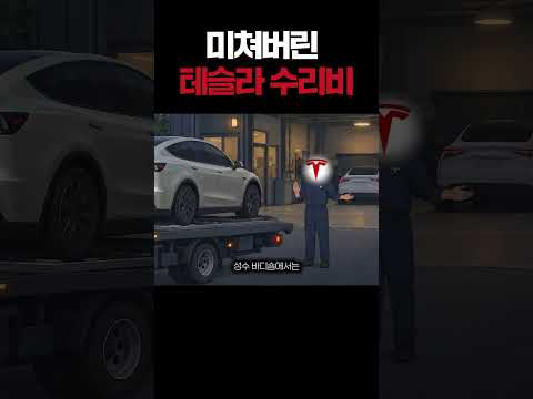 테슬라 수리비 이게 맞나요??