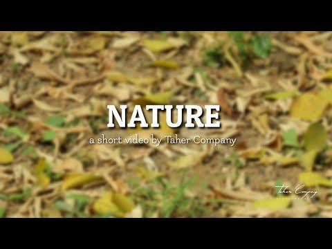 A Short Relaxing Nature Video | Taher Company Photography