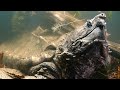 You Absolutely Don T Want To Get Bitten By This Turtle