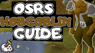 Hobgoblins Slayer Guide 2007 (Fastest Guide) [2022]