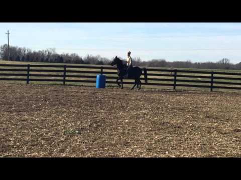 Hopewell Farm, Ritz Xtreme