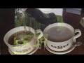 Cold Tea Blues -Cowboy Junkies harp transcription music video