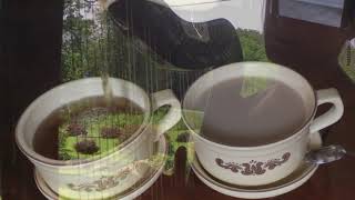 Cold Tea Blues -Cowboy Junkies harp transcription music video