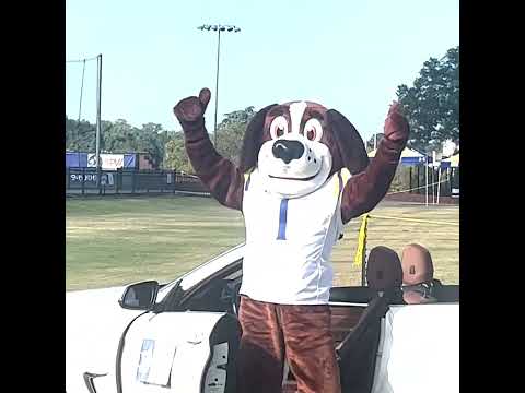 Honk Your Horns, Saints Fans!