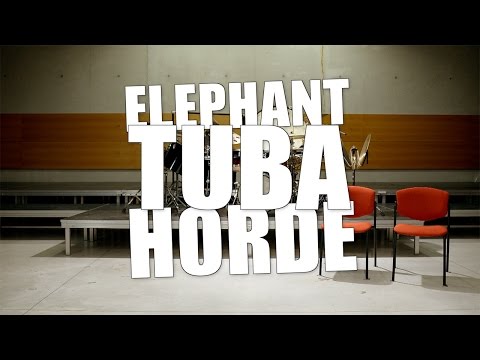 ELEPHANT TUBA HORDE // The Pack is back!