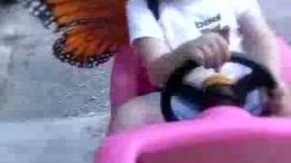 Fiona Apple - Extraordinary Machine