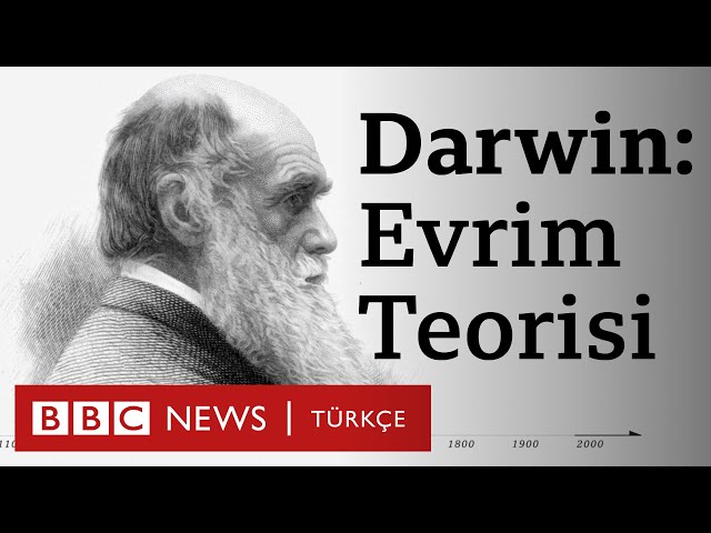 Videouttalande av evrim Turkiska