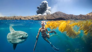 Explosion while Snorkeling off Navy Island! *Calico Bass Catch Clean & Cook*