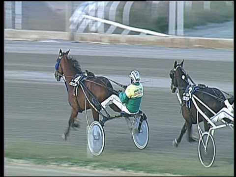 Trotto 12/03/2017 - 6ª corsa