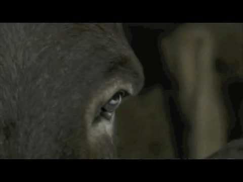 Mida Sa kuuled? - Timo Lige