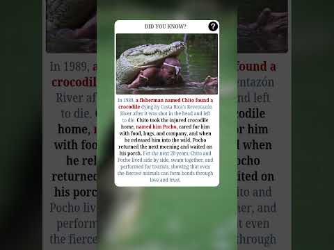 The Man Who Befriended a Crocodile