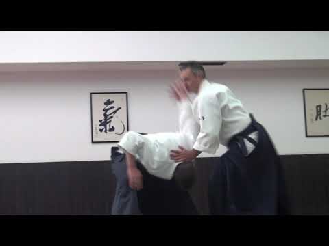 Soto Kaiten Nage Omote