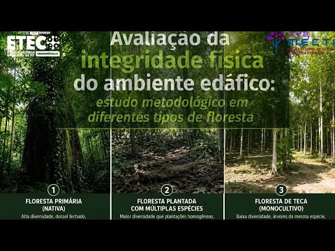 Nativa vs. Reflorestamento vs. Teca: Qual Floresta Protege Melhor o Solo?