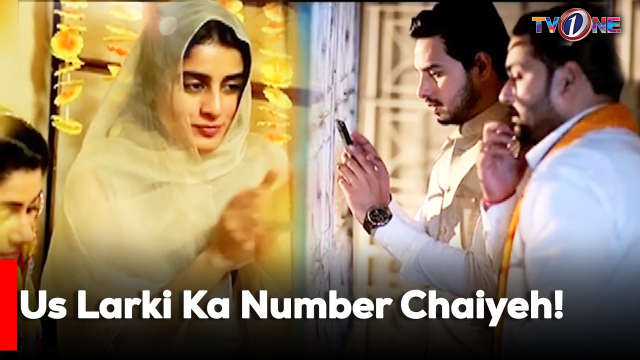 Us Larki Ka Number Chaiyeh!| Alishba Yousuf | Kunwar Arslan | Best Moments