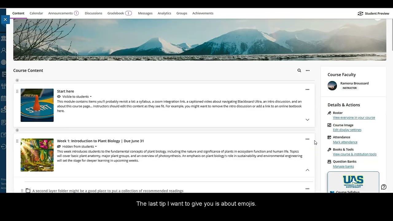Blackboard Ultra: Tips for organizing