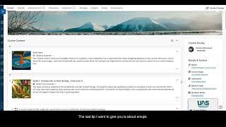 Blackboard Ultra: Tips for organizing