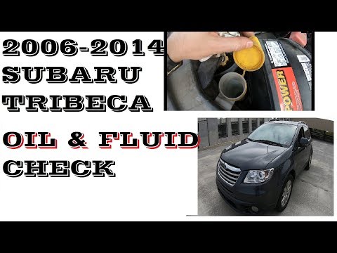 How to check Oil and Fluids in 2006-2014 Subaru Tribeca. Maintenance
