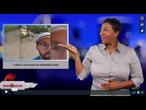 3 deer join man on morning run (ASL - 6.4.19)