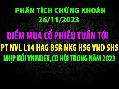 PT VNINDEX NVL L14 HAG NKG HSG SHS VND SSI PDR DXG CEO BSR HCM