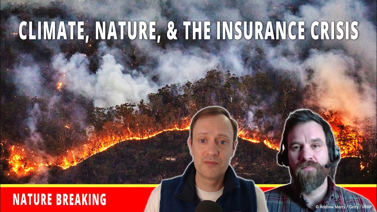 Climate Change & Nature Loss are Driving an Insurance Crisis