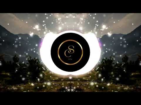 VOLT VISION, BRIGHTDVWN