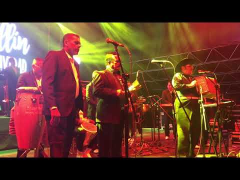 🔥Anibal Velasquez - Alicia la flaca - en vivo - Medellín