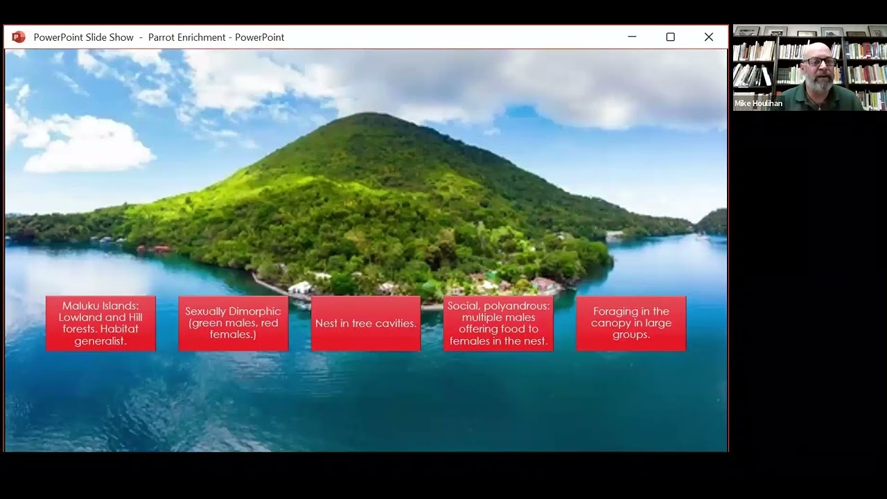 Taxa specific Psittacines