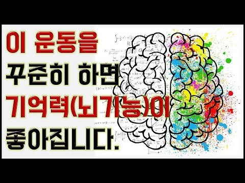 기억력 향상을 위한 뇌 활성화 훈련법