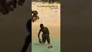 This Tribe Will Kill You If You Step On Their Island #travel #shorts #island