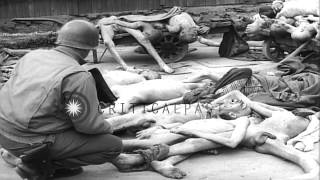 Large piles of dead bodies at a Nazi concentration and death camp in Mauthausen, ...HD Stock Footage