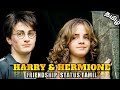 HARRY POTTER HERMIONE GRANGER FRIENDSHIP STATUS TAMIL HARRY POTTER