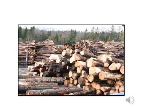 Sågverket i Kinnared