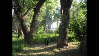 Sugar Baby Dylan Cover